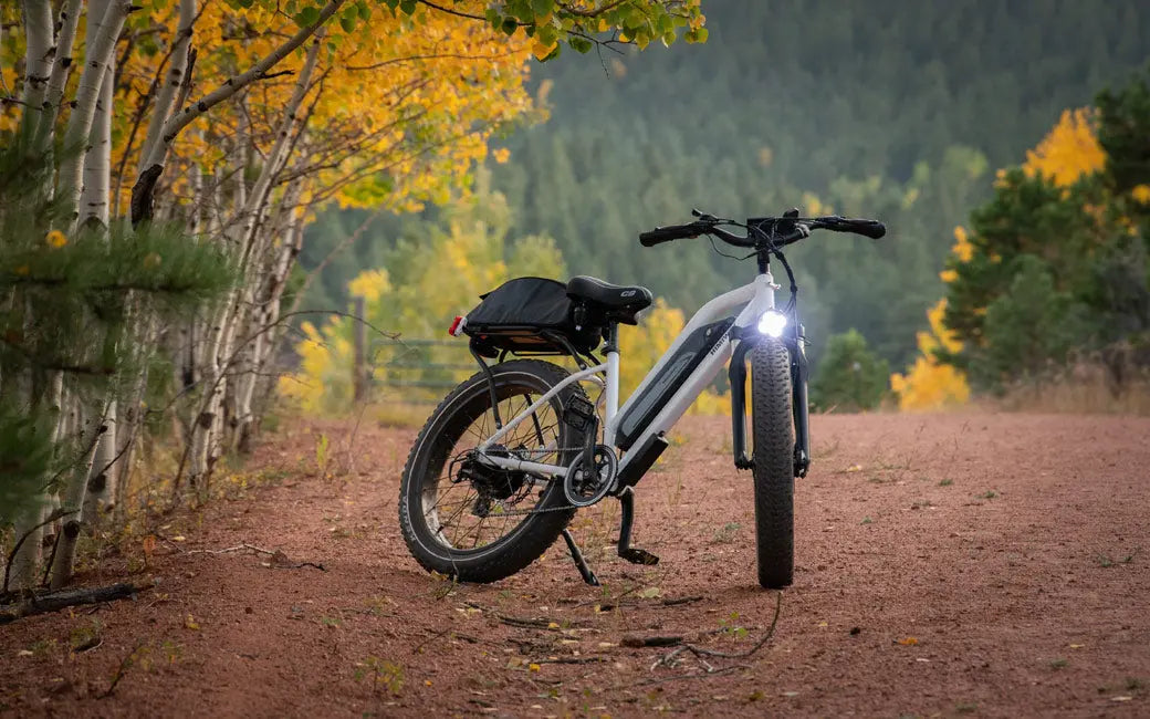 Electric Bike Batteries Explained