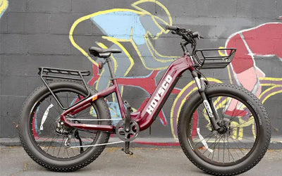 1000w or 750w Electric Bike for Men or Adults, Which is Better?