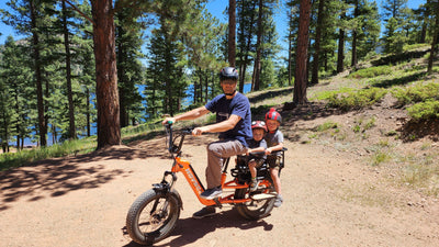 How to Choose the Right Cargo E-Bike for You