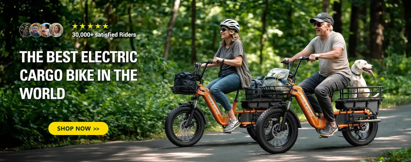 hovsco-hovcart-cargo-electric-bike