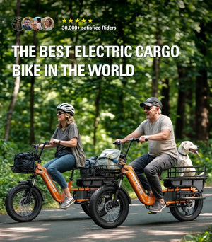 hovsco-hovcart-the-best-cargo-ebike